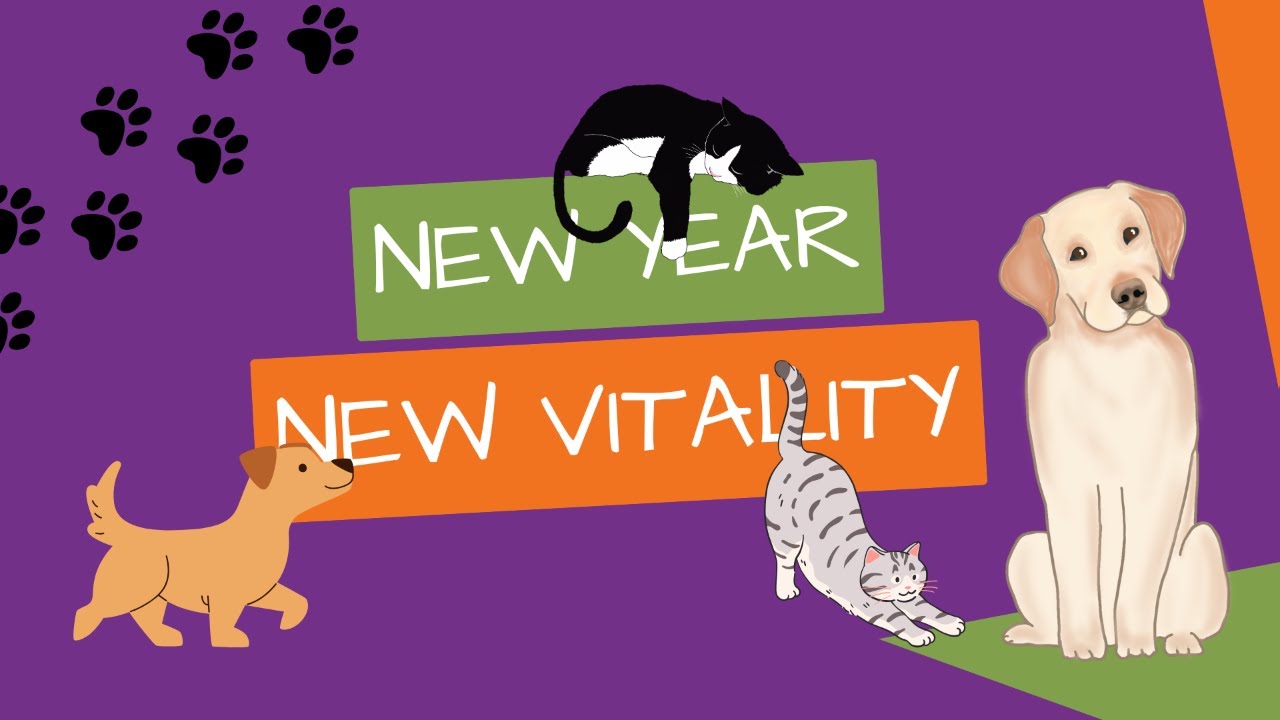 New Year, New Vitality For Your Pet