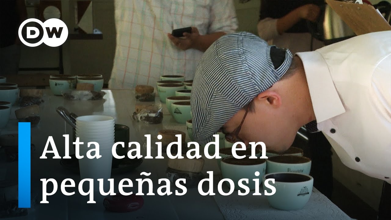 Elida Geisha, el café más caro del mundo  | Sabor Saber DW