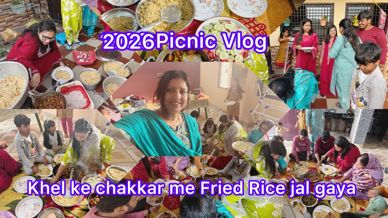 Khel ke chakkar me Fried Rice jal gaya /2026 Picnic Vlog / Full Enjoy / Rounaque Vlog 786