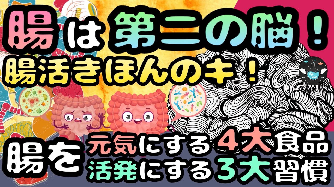 今日から始める腸活習慣！腸を整えれば頭も体もスッキリ！