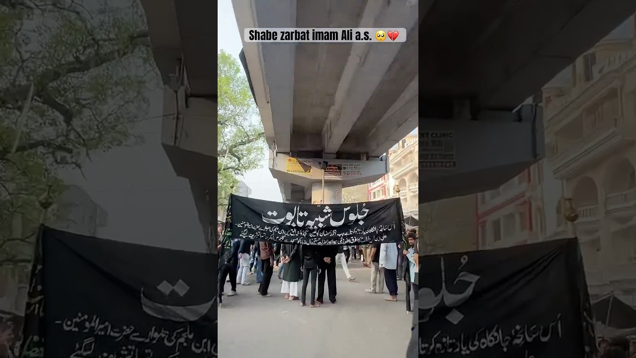 Shabe zarbat imam Ali a.s. 🥹💔 #shahadatimamali #juloos #lucknowazadari