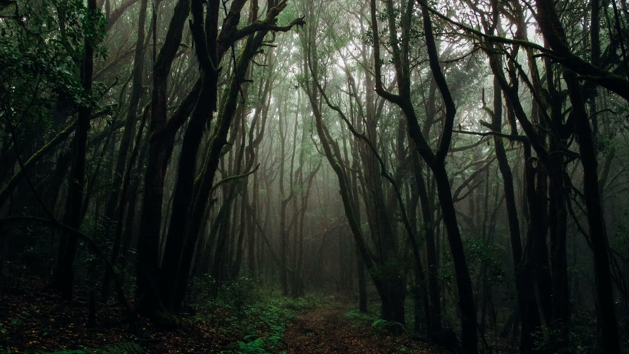Cold Blue Music,Sleep Music,Calm Music,Study Music,Spa,Sleep Meditation
