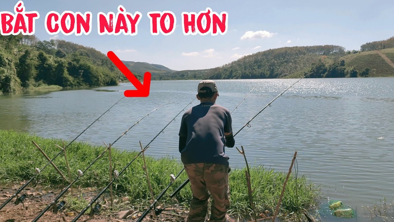 BẮT Con Này To Hơn... Chưa Kịp Bắt Con Này Con Khác Đã Mắc Câu Lancer.