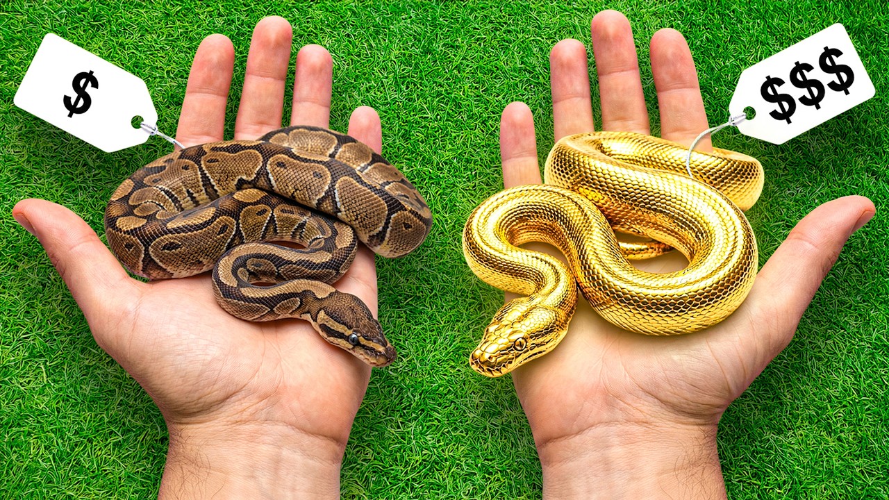 ⚠️LOS MAS CAROS⚠️ - PRECIOS DE ANIMALES (Animalia 2025)