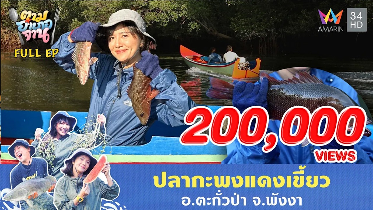 ปลากะพงแดงเขี้ยว อ.ตะกั่วป่า จ.พังงา | ตามอำเภอจาน | 27 พ.ค. 68 Full EP