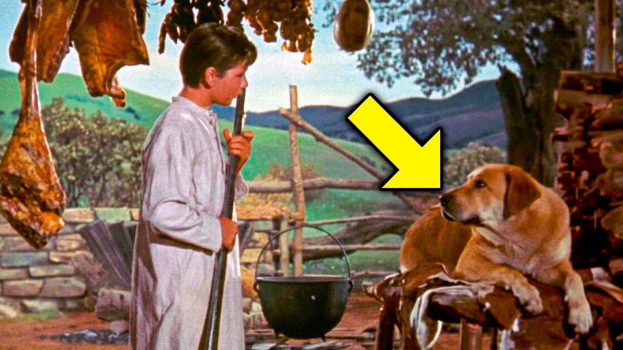 15 Weird Facts You Didn’t Know About Old Yeller (Old Yeller, 1957)