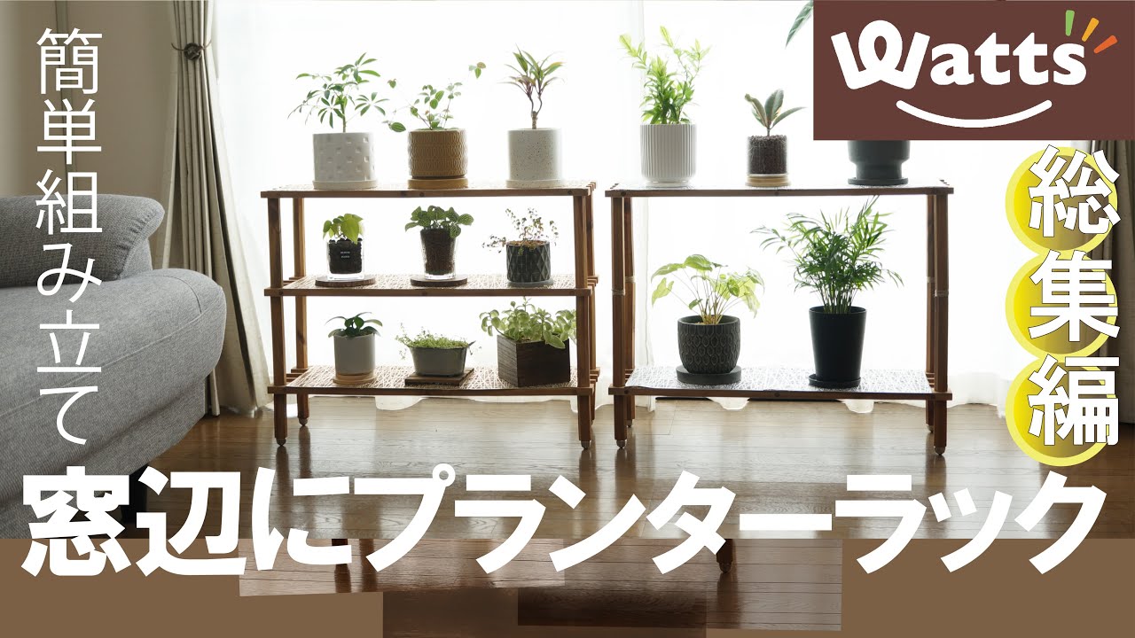 プチプラ・ラックで模様替え【Watts】観葉植物プランターラック 100均 DIY 棚 まとめ｜多彩な提案動画