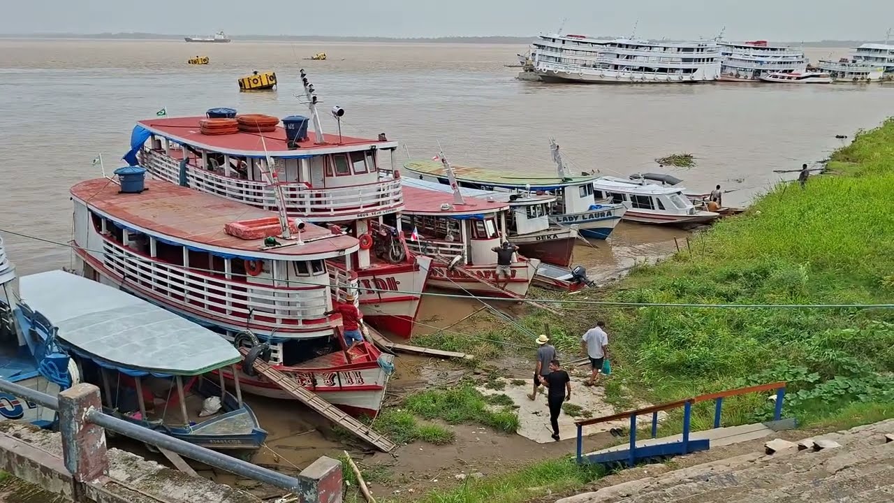 Isso é na Amazônia?