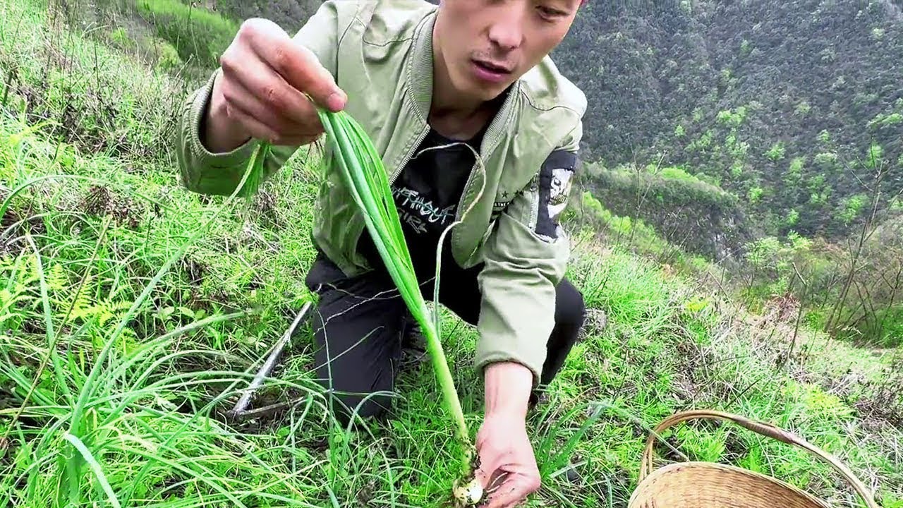 比蒜還大的野蔥你見過嗎 ？挖的不想走了，可惜又沒帶背篼#川農小韓 #mushroom #新鲜采摘 #food #樓頂菜園 #cooking #美食 #delicious #outdoors