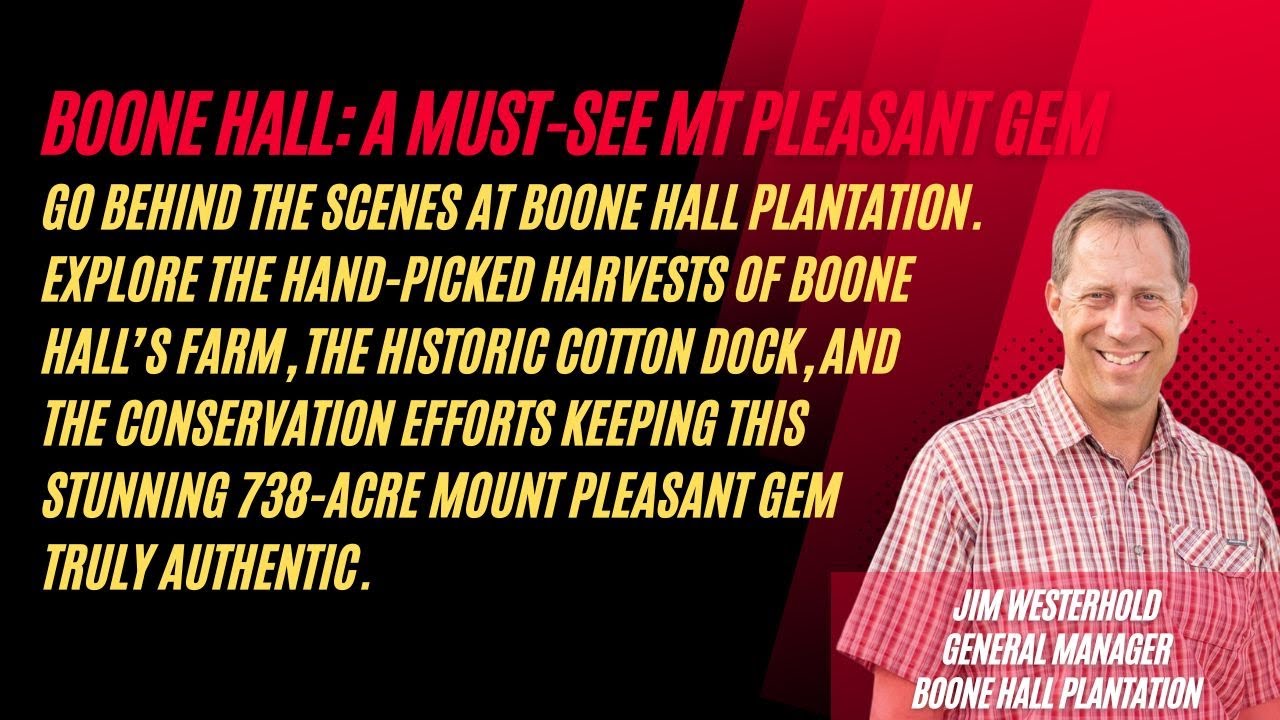 The Living Legacy of a Mount Pleasant Gem: Boone Hall Plantation