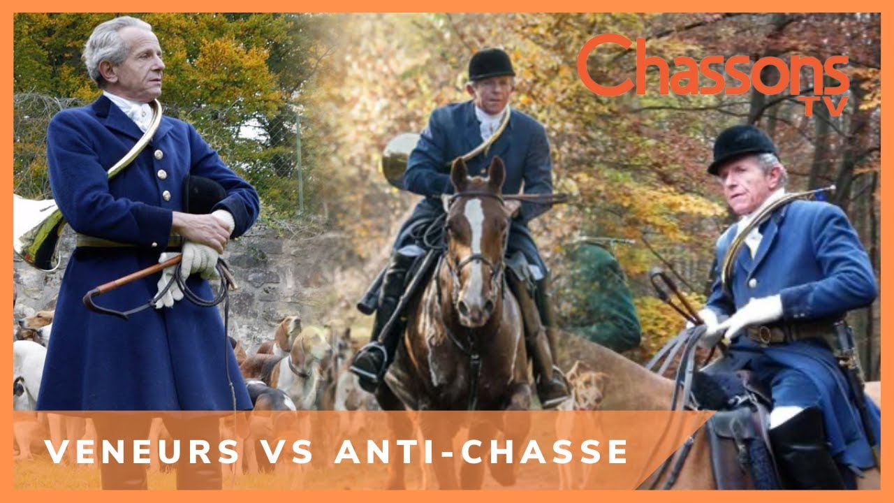Chasse à courre avec l'équipage d'Alain Drach: Les Ava sont-ils encore là?