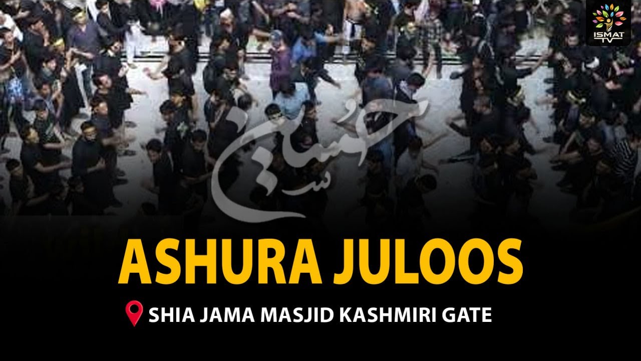 Live Ashura Juloos || Shia Jama Masjid Kashmere Gate To Dargah Panja Sharif Kashmere Gate Delhi ||