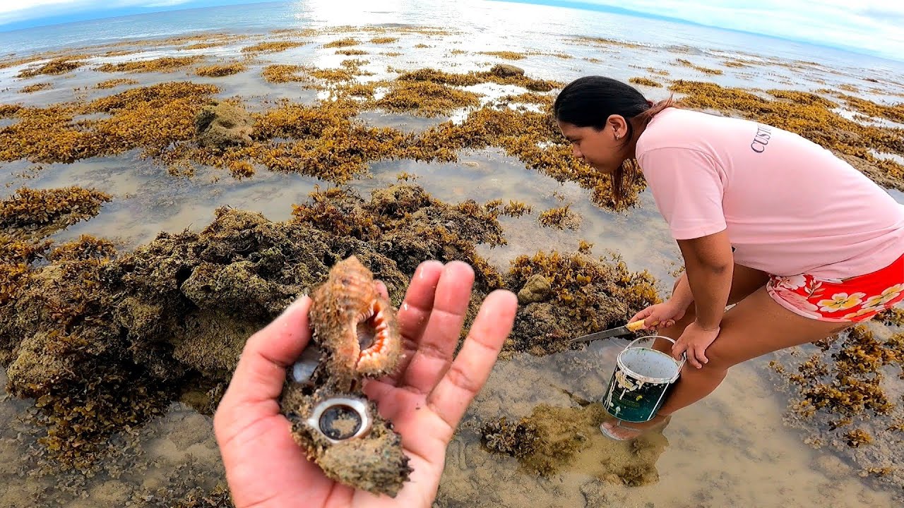 Manginhas ta! Mamulot tayu ng pang ulam sa dagat | Pag ka daku sa hunas