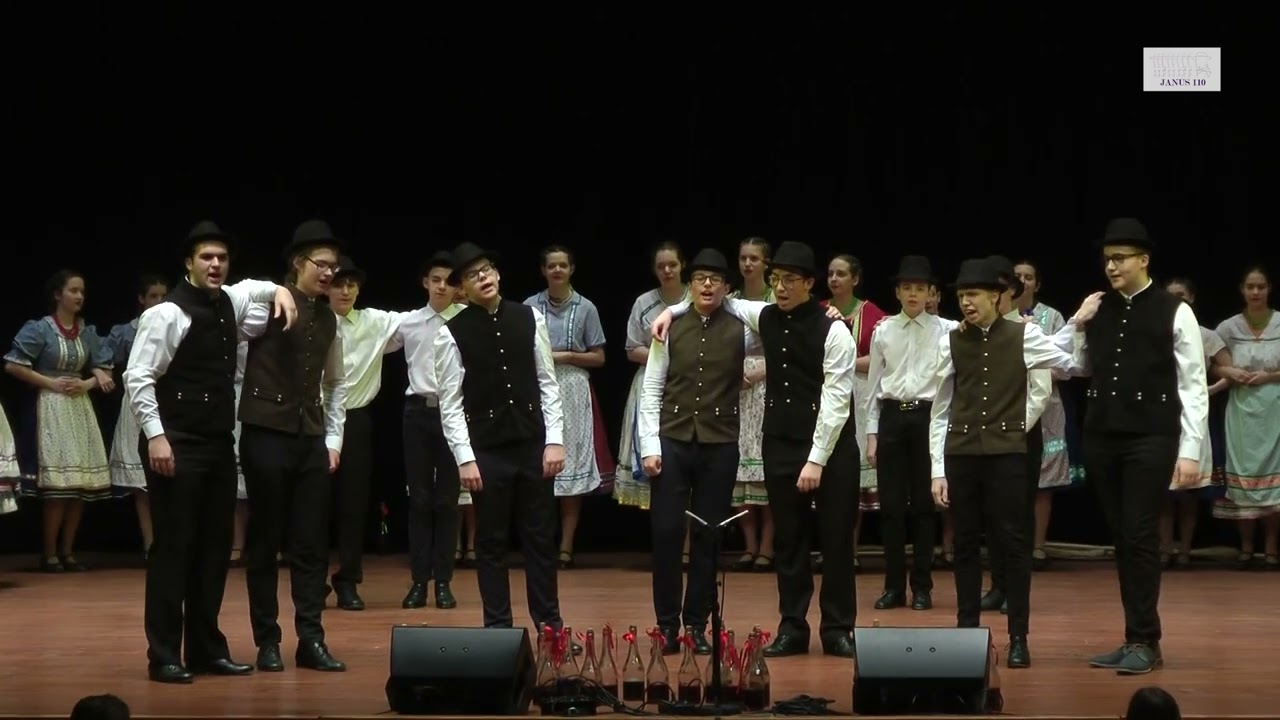 Napkelte (Anatolí) táncegyüttes – JANUS110