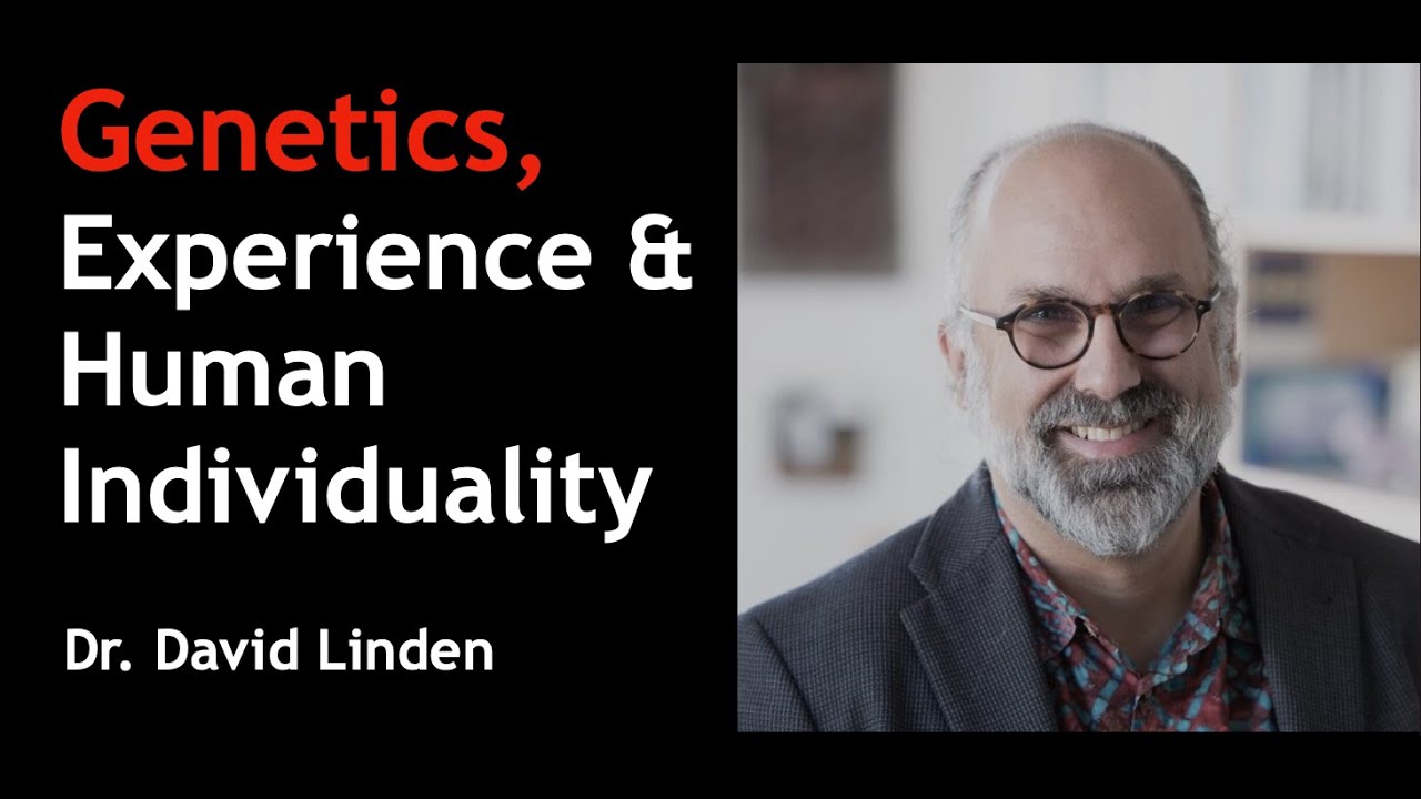 Genetics, Experience & Human Individuality – Johns Hopkins Leading Neuroscientist | Dr. David Linden