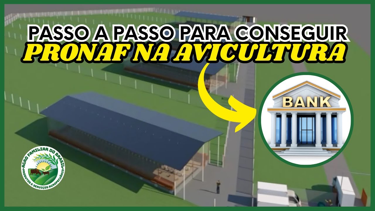 CREDITO RURAL PARA PRODUTOR NA AVICULTURA CAIPIRA
