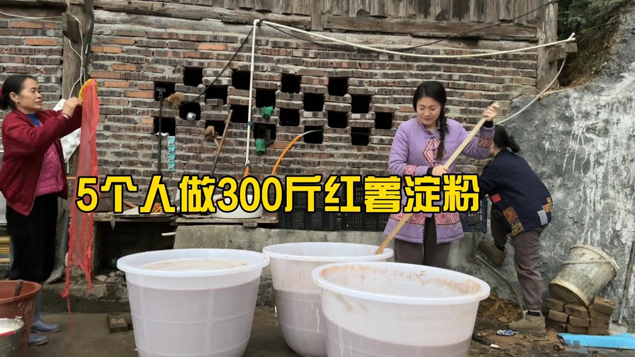 侗族地区最爱吃的红薯淀粉，三妹一家5个人做了300多斤，太辛苦了，婆婆也一直在忙碌着，虽然累但很满足幸福