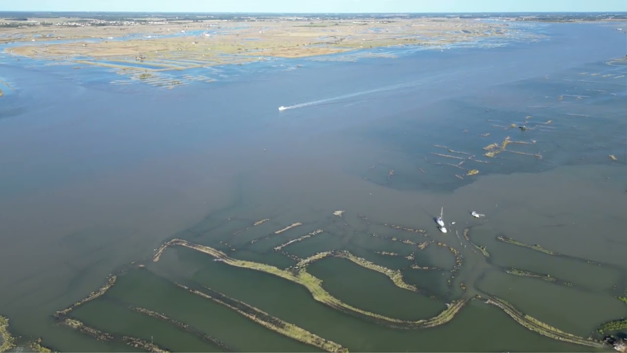 Chaillevette - vue du marais