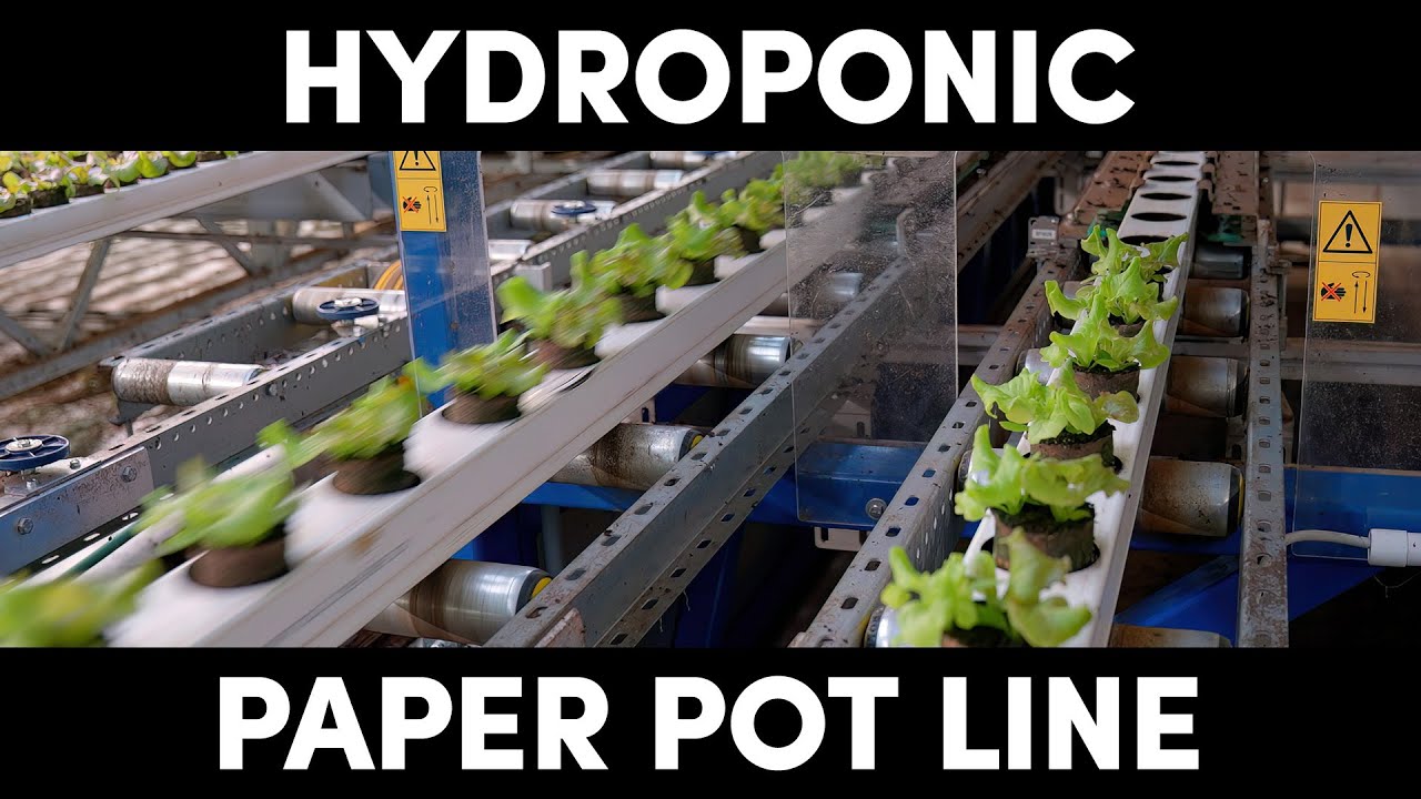 Hydroponic Paperpot Line - From Boer