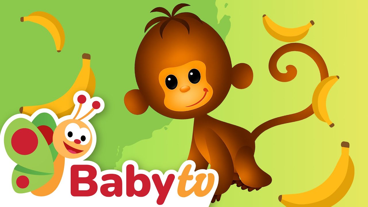 Monkey 🐵 | Animal Sounds and Names for Kids & Toddlers @BabyTV