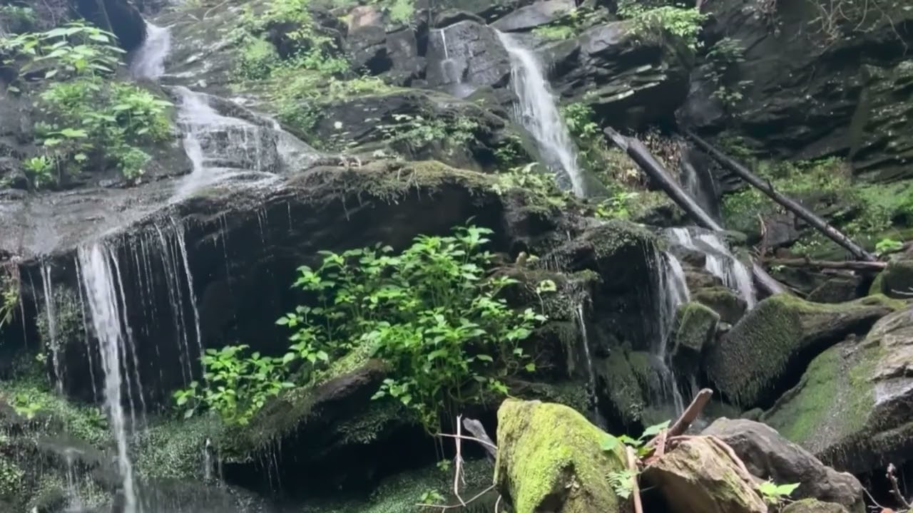 Turtle Rock Falls, Saluda, NC • 8 Hours • Sleep, Study & Relaxation • North Carolina Nature