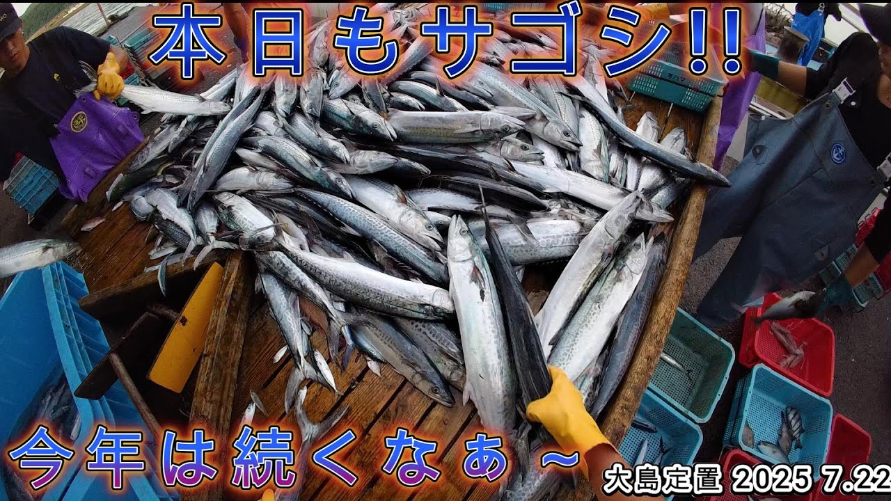 このまま７月走りぬくッッ!!　若狭湾　大島定置　2025 7.22[俺視点]#定置網 #漁師