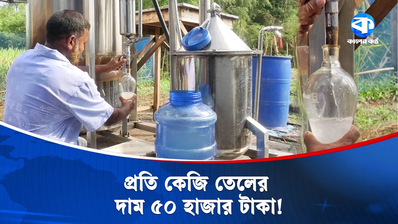 পাতা থেকে তৈরি হচ্ছে তেল, প্রতি কেজির মূল্য অর্ধলাখ টাকা | Organic Oil | Unique Business Idea