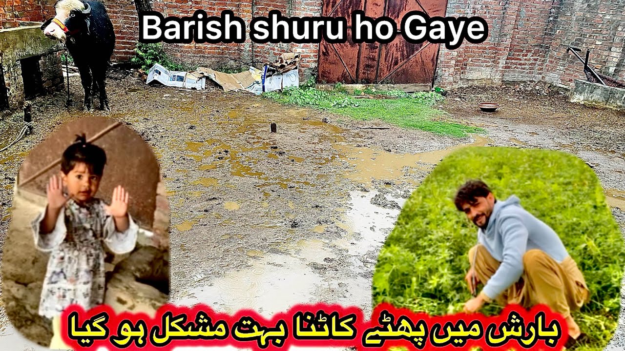Rain day🌨Barish ma pathy katny boht mushkl ho geya