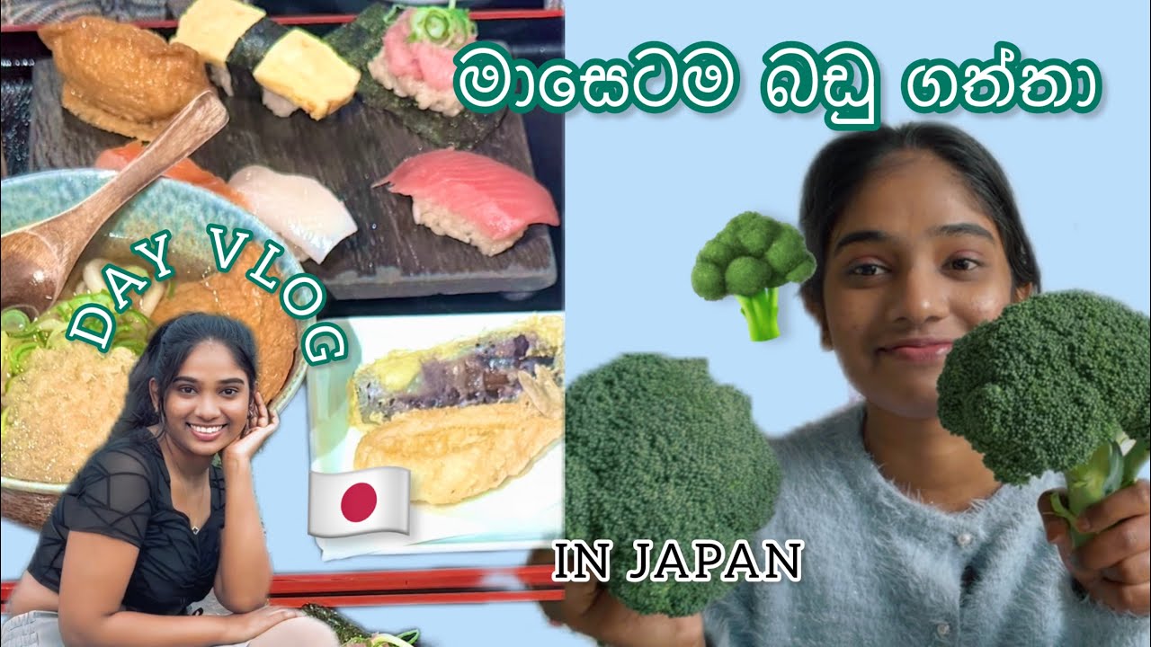 තවත් එක ලස්සන දවසක්/DAY #vlog 🇯🇵/ ජපානයේ මාසෙට මෙච්චර වියදමක් 🤔