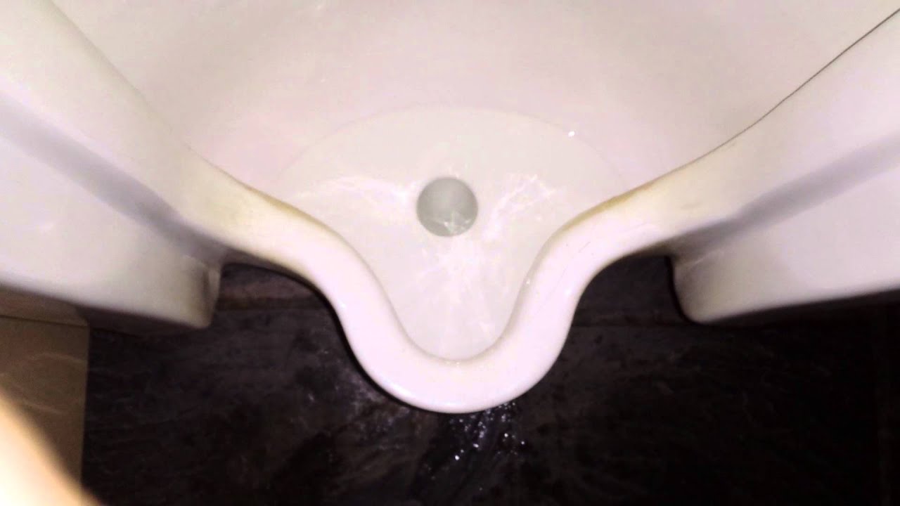 Bathroom Tour: Blue Ridge Parkway visitor Center James River with Standard Toilets