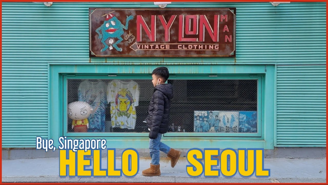 SEOUL HALAL FOOD AUTUMN 2022 | NAMSAN + HALAL KOREAN FOOD + MYEONGDONG Food Street & Night Market