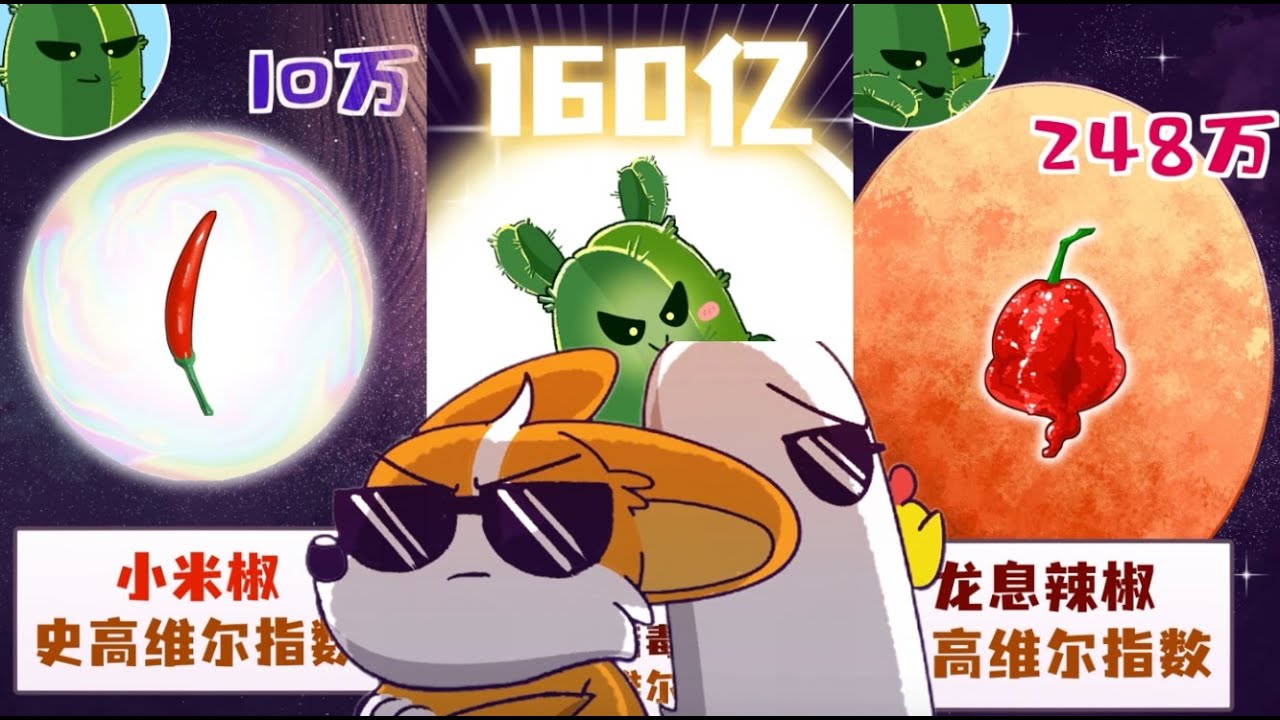 《小魔美食生活大百科系列 》 15 | 寄居蟹 | 海星 | 辣条 | 北极甜虾