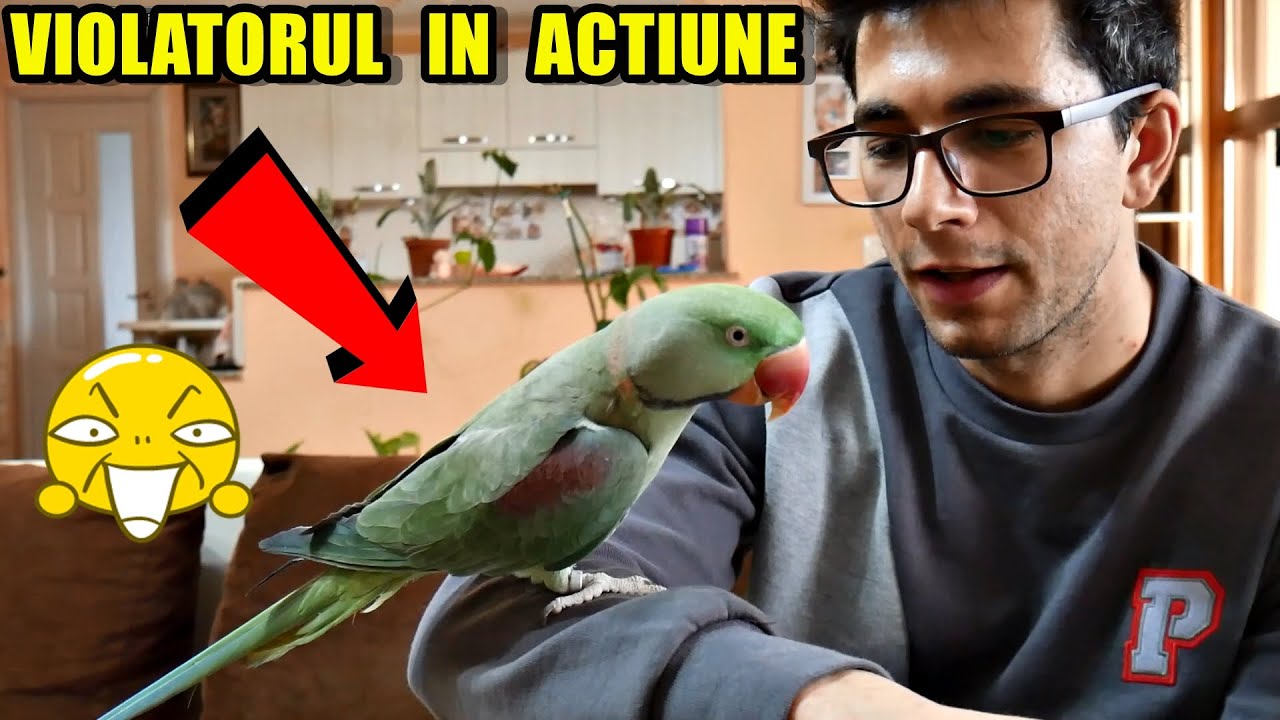 mă 