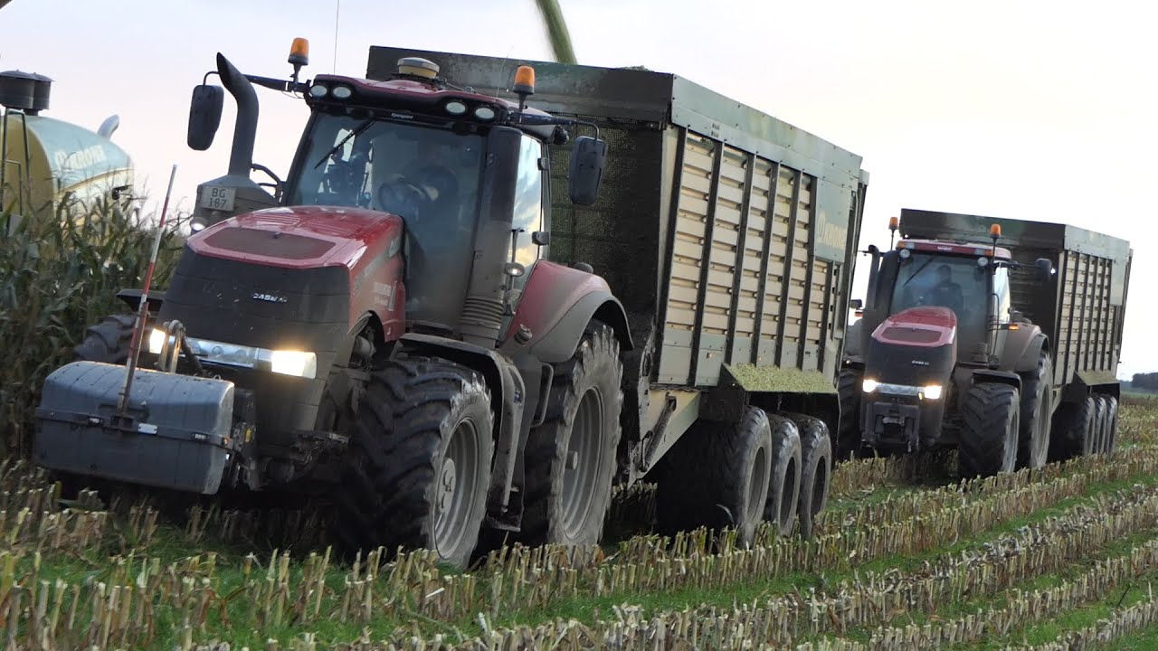 Krone Big X 680 & Case IH Magnum 340 & 380 in the some light muddy corn fields chopping silage