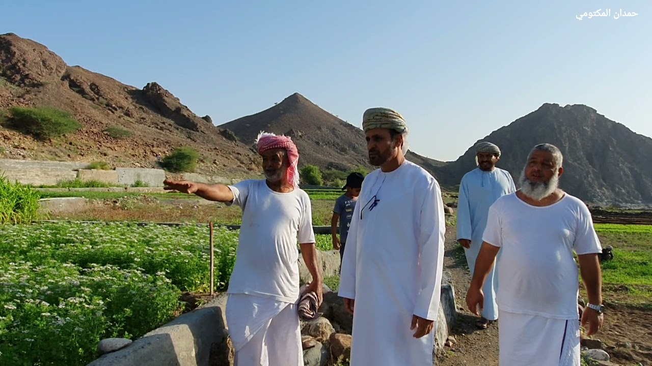 قرية الخبيتة والزراعات الشتوية الموسمية وادي عاهن ولاية صحار