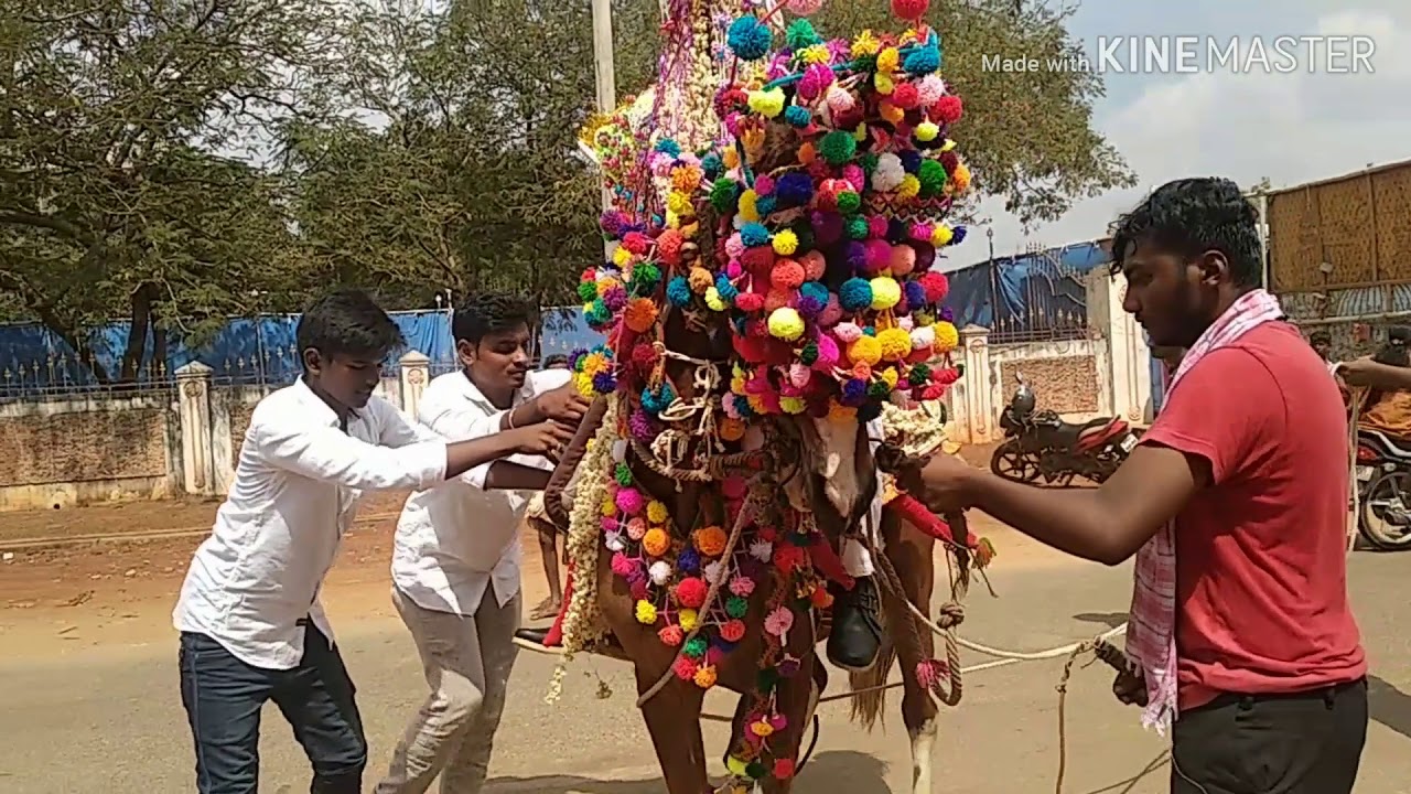 Sk Shakeer Nellore horse dance 7095786921
