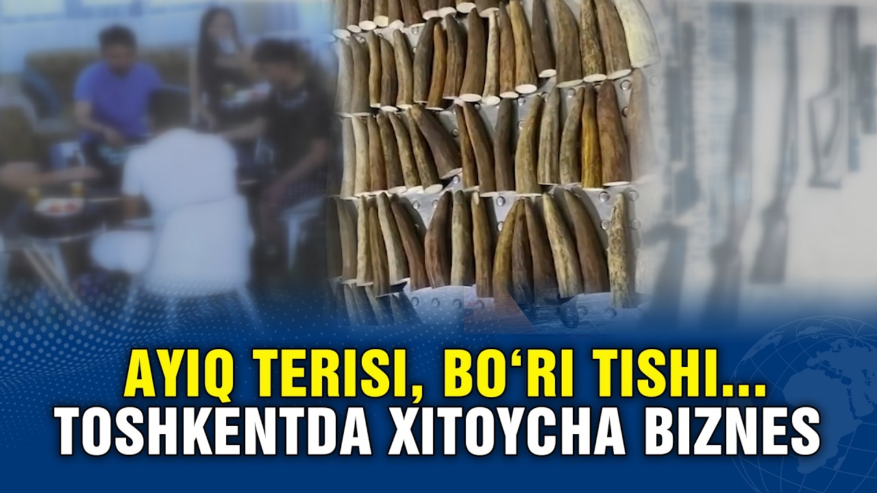 TOSHKENTDA XITOYLIK YIRIK JINOYATLARNI SODIR ETDI