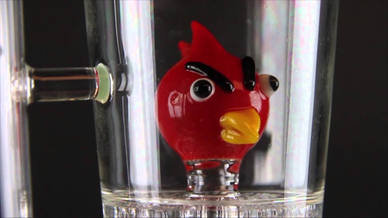 Product Video: G Bird