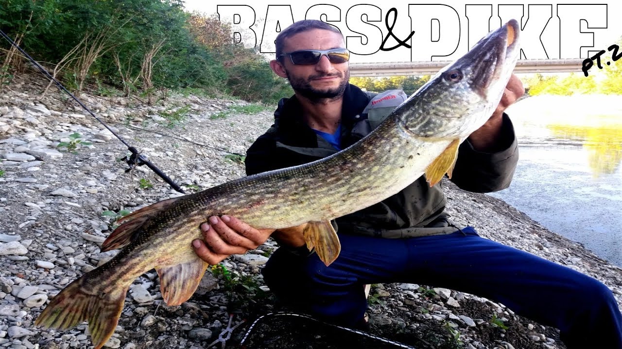 Pesca al Luccio (e non solo) al Lago di Bilancino pt.2 w/ RapalaUbriaco