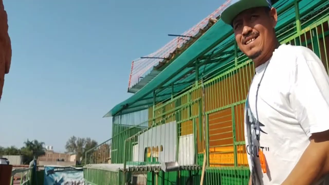 Pasión Colombófila está en vivo