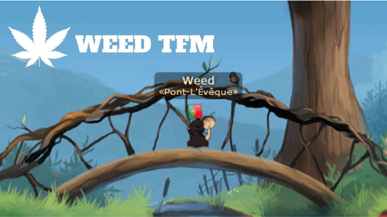 Weed - Batata TFM #1