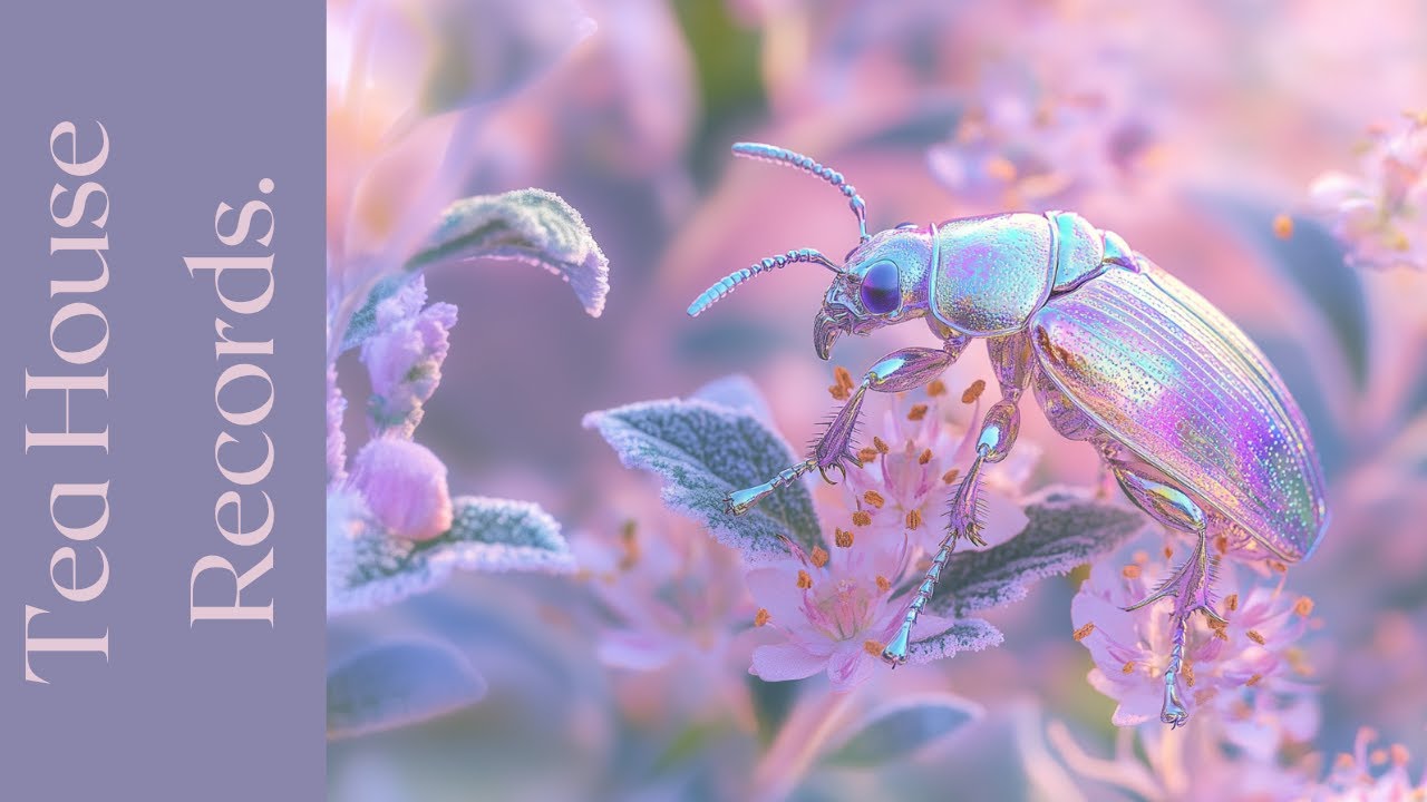 𝐍𝐚𝐭𝐮𝐫𝐞𝐬 𝐇𝐨𝐫𝐢𝐳𝐨𝐧 |  Smooth House Instrumentals | Tea House Records