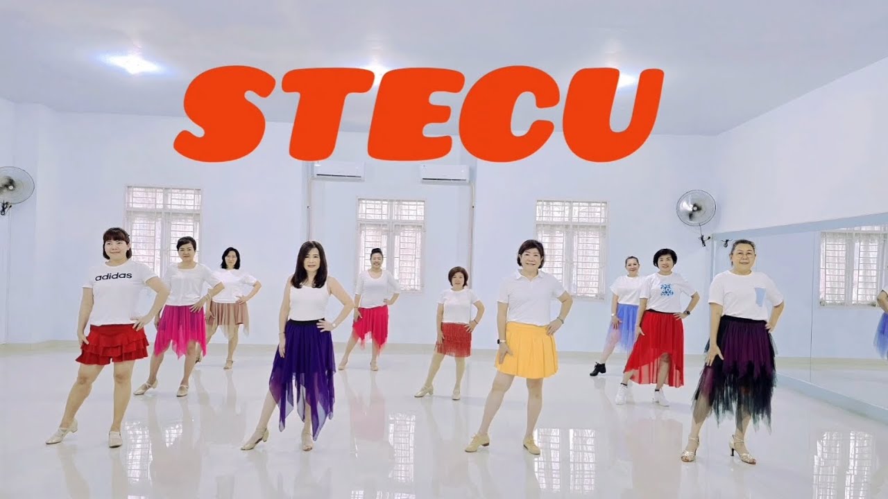 STECU