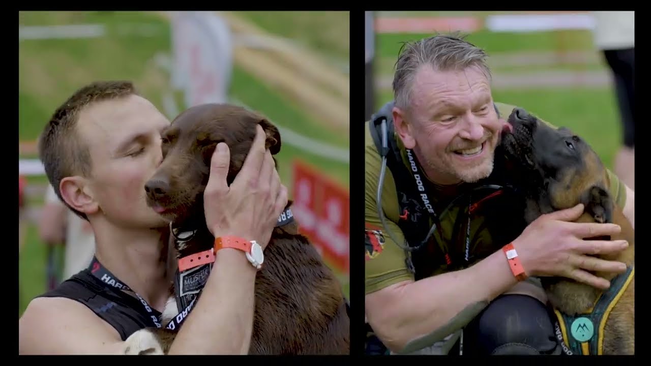WILD HU 2022 - OFFICIAL AFTERMOVIE / 2022.05.07., Eplény