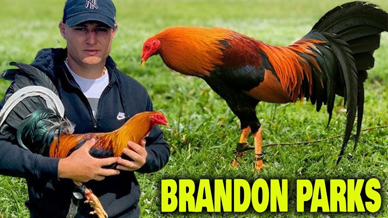 BEAUTIFUL FARM BY BRANDON PARKS