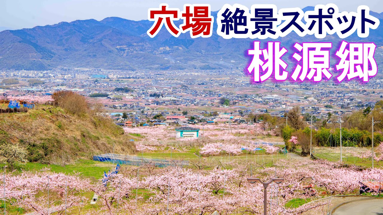 桃源郷 春に行きたい山梨県の絶景ドライブ3選　｜桃源郷｜塩山｜笛吹市｜ドライブ｜