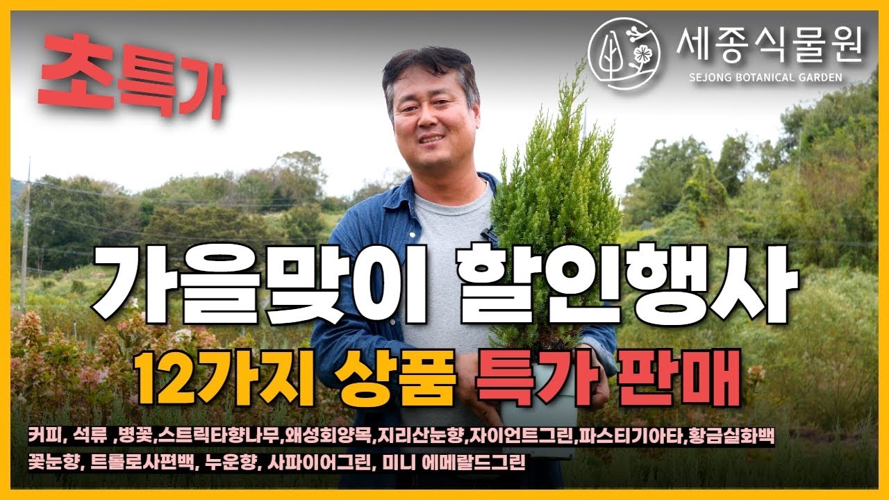 (행사종료)가을맞이 할인행사! 12가지의 나무를 특가로 판매합니다. / 세종식물원
