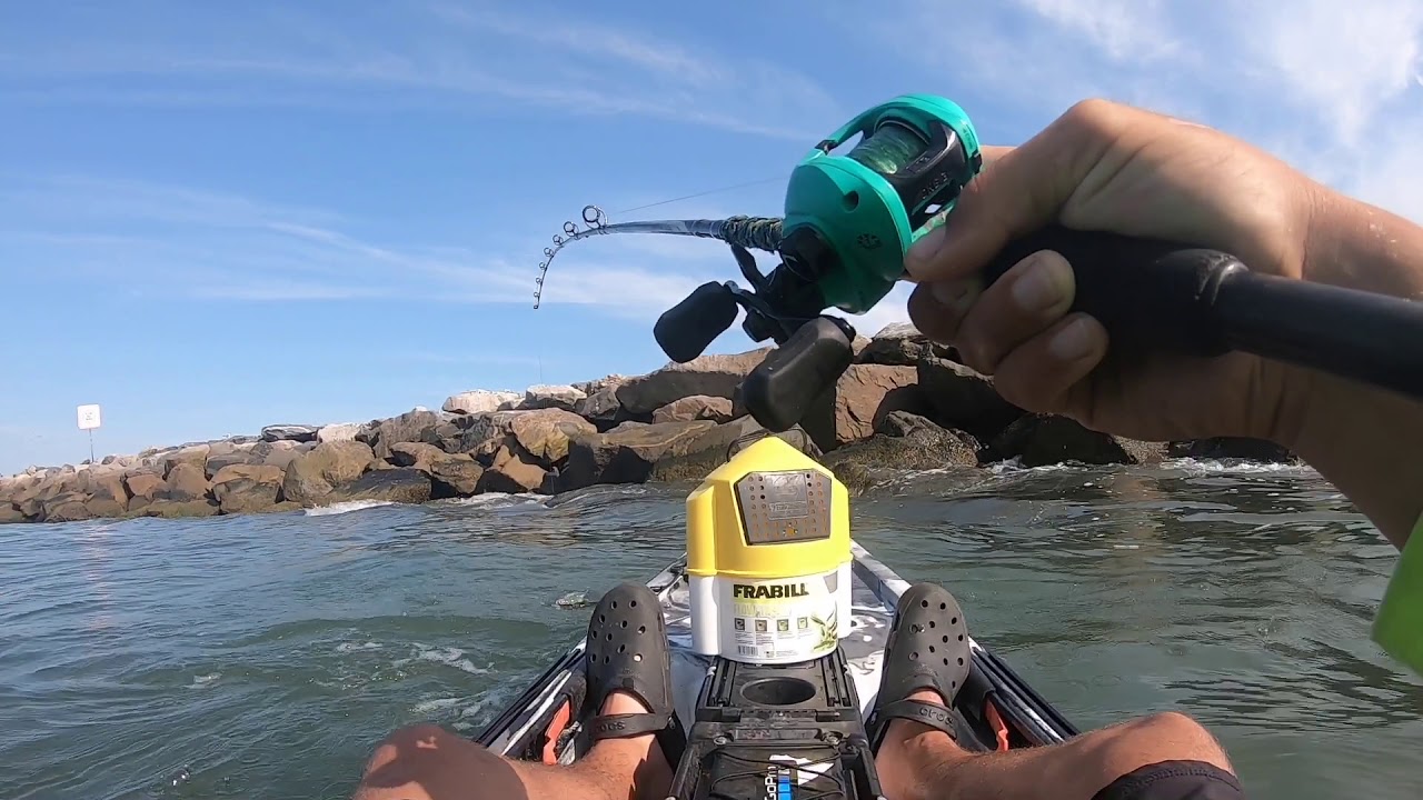 Unexpected catch at Rudee while sheepshead fishing!!!!!!