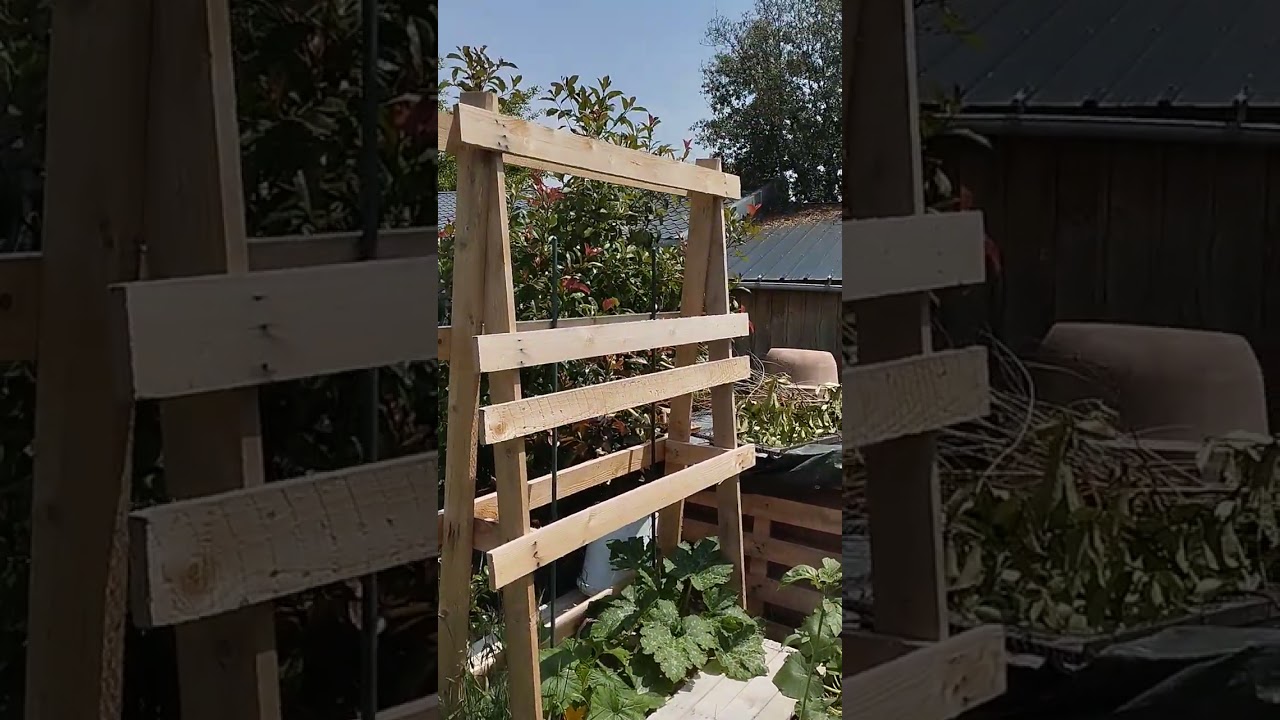 Tour du jardin forêt début juin 2025