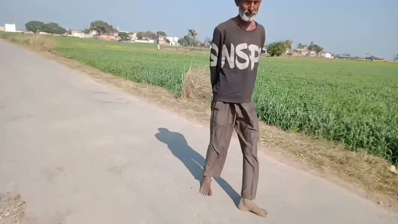 Hamare khet ke haryale 